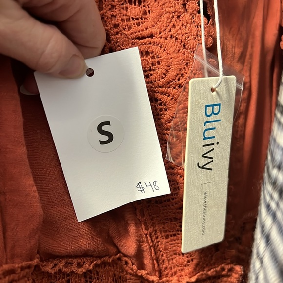 Terracotta Maxi Dress - Picture 4 of 4